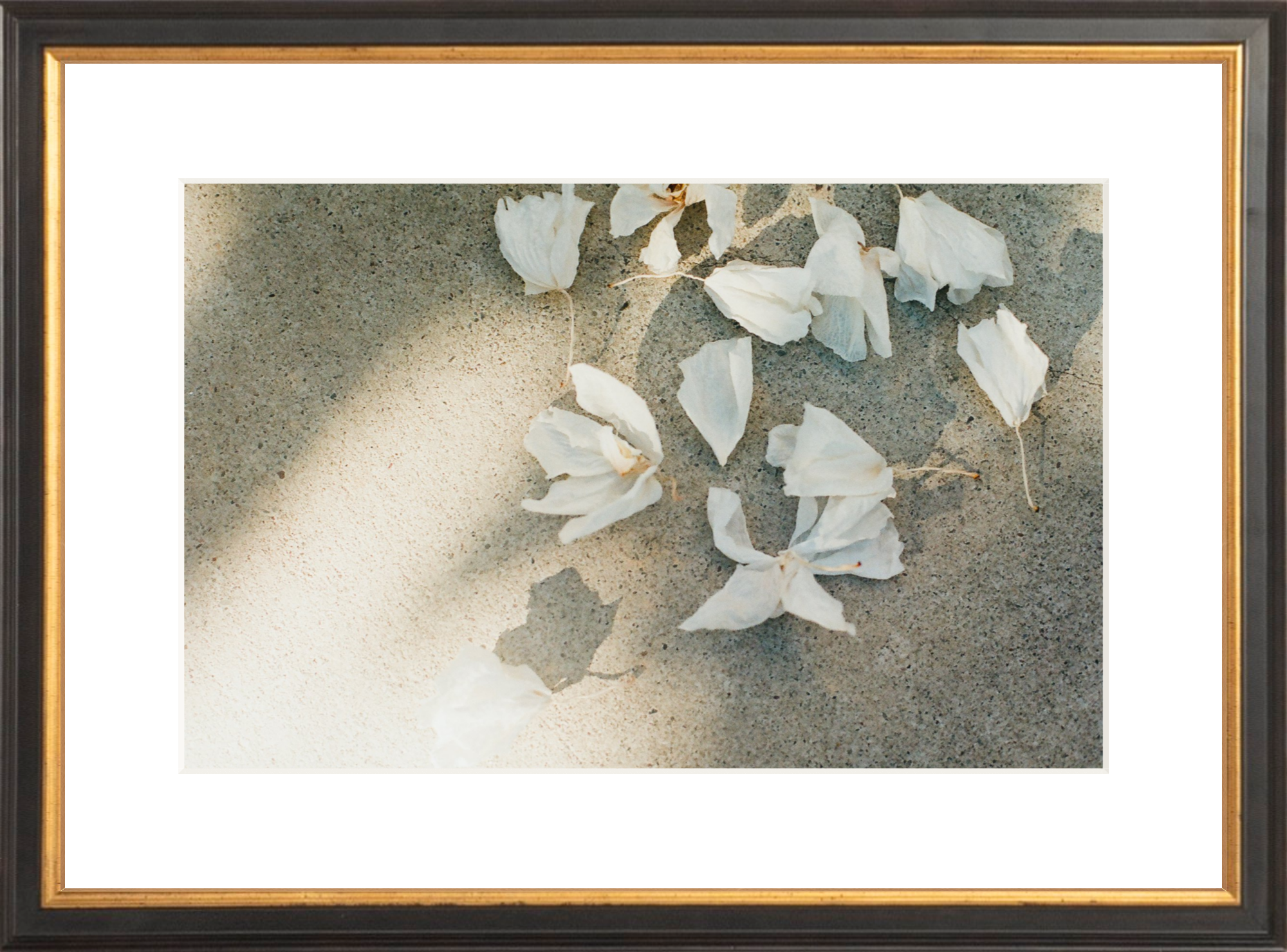 Trail Offerings Printed Photograph - elsie green