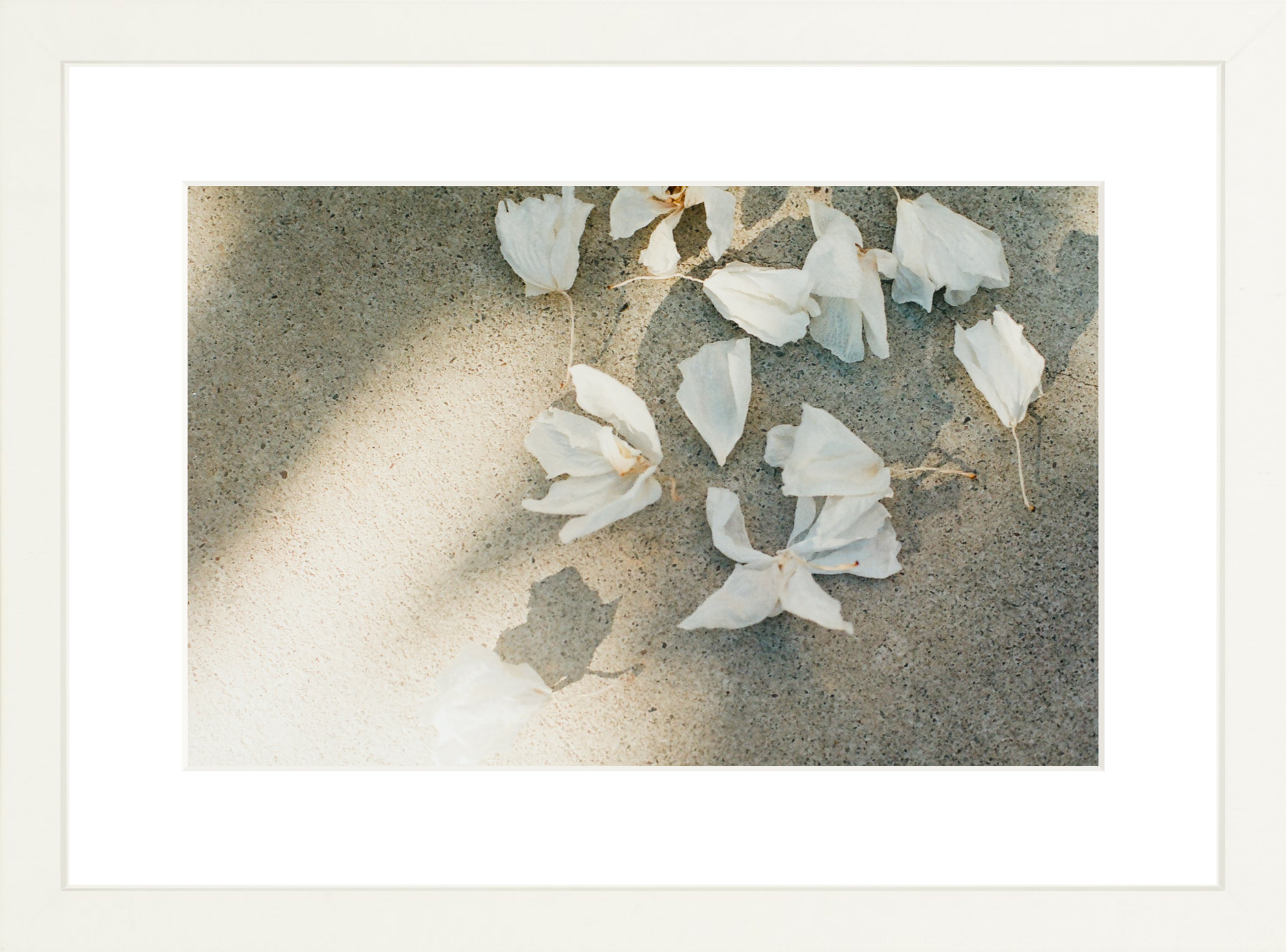 Trail Offerings Printed Photograph - elsie green