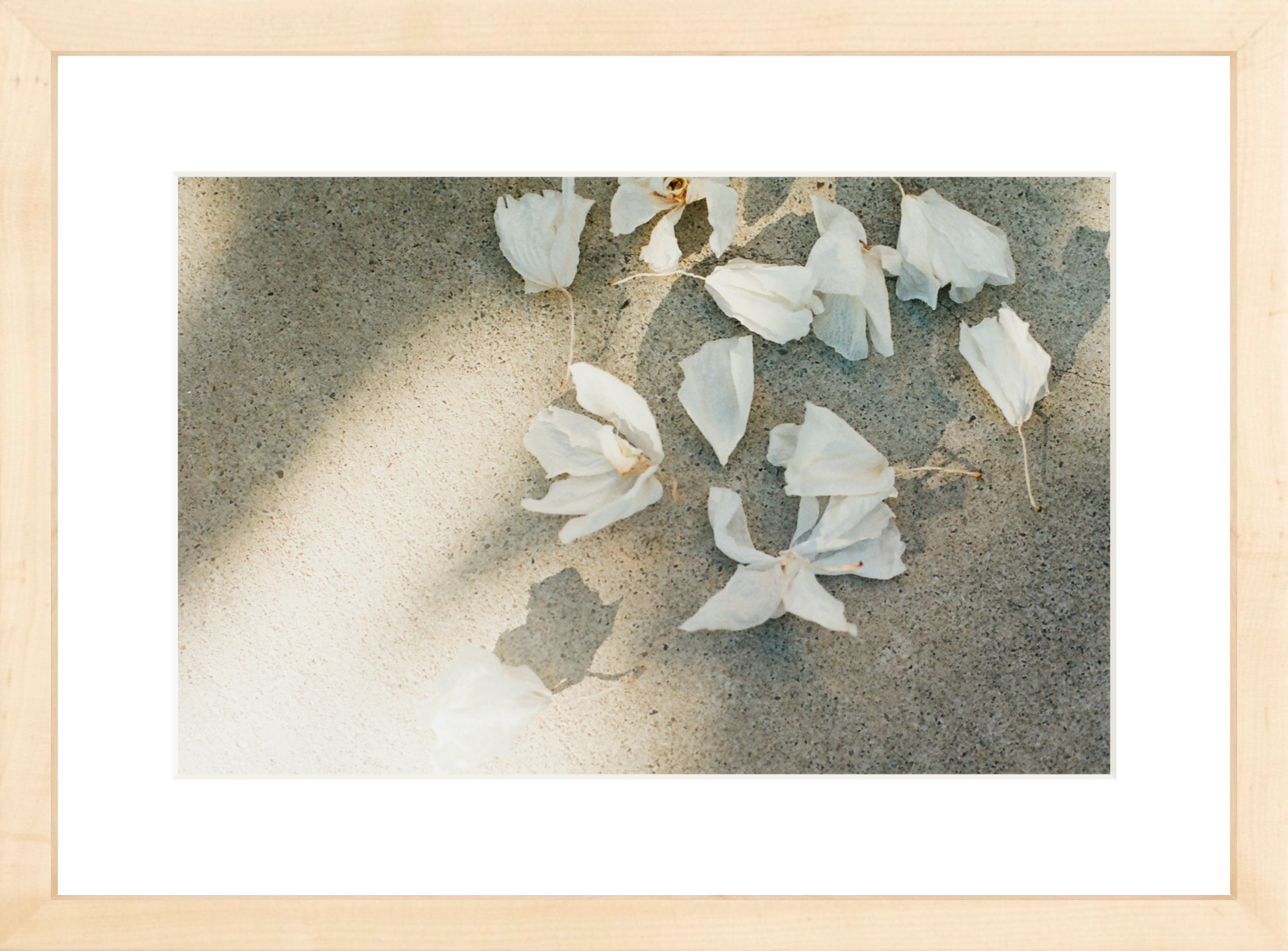 Trail Offerings Printed Photograph - elsie green