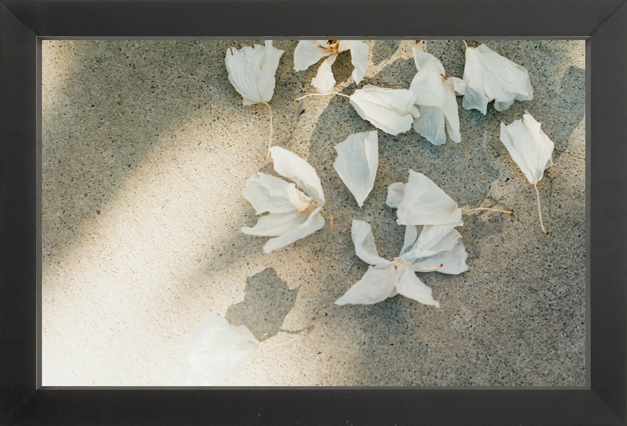 Trail Offerings Printed Photograph - elsie green