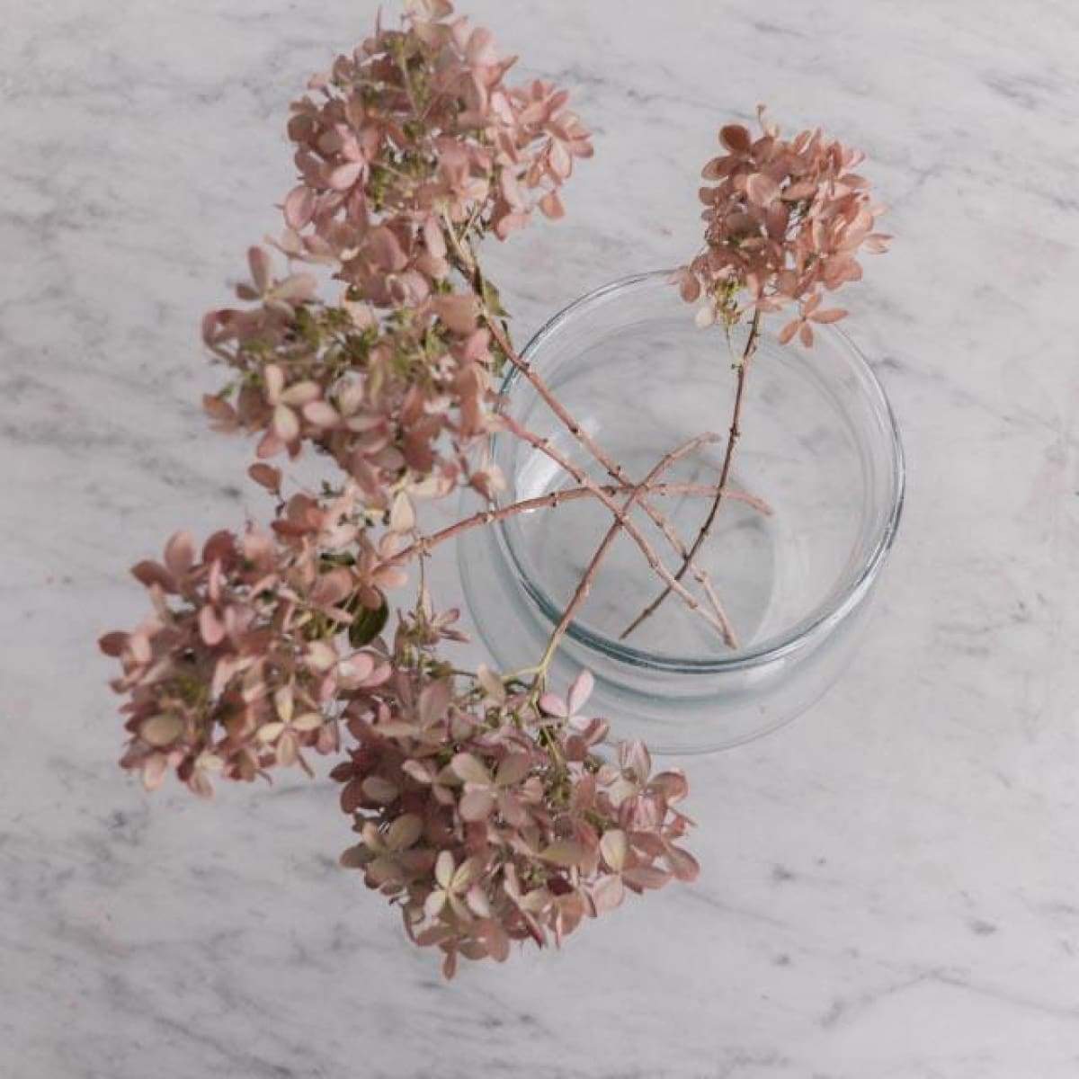 Baby Bulb Pickling Jar - elsie green - Decor