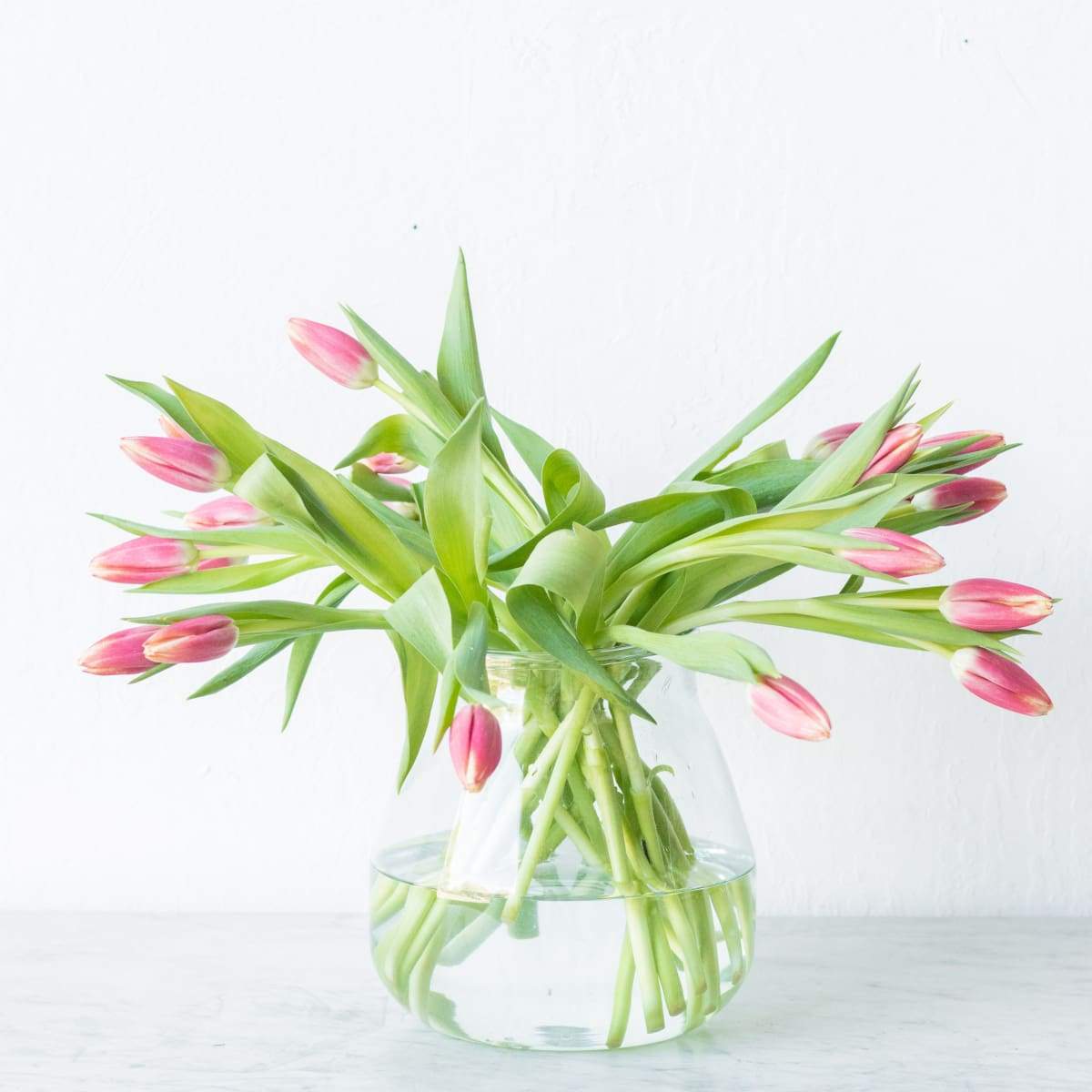 Baby Bulb Pickling Jar - elsie green - Decor