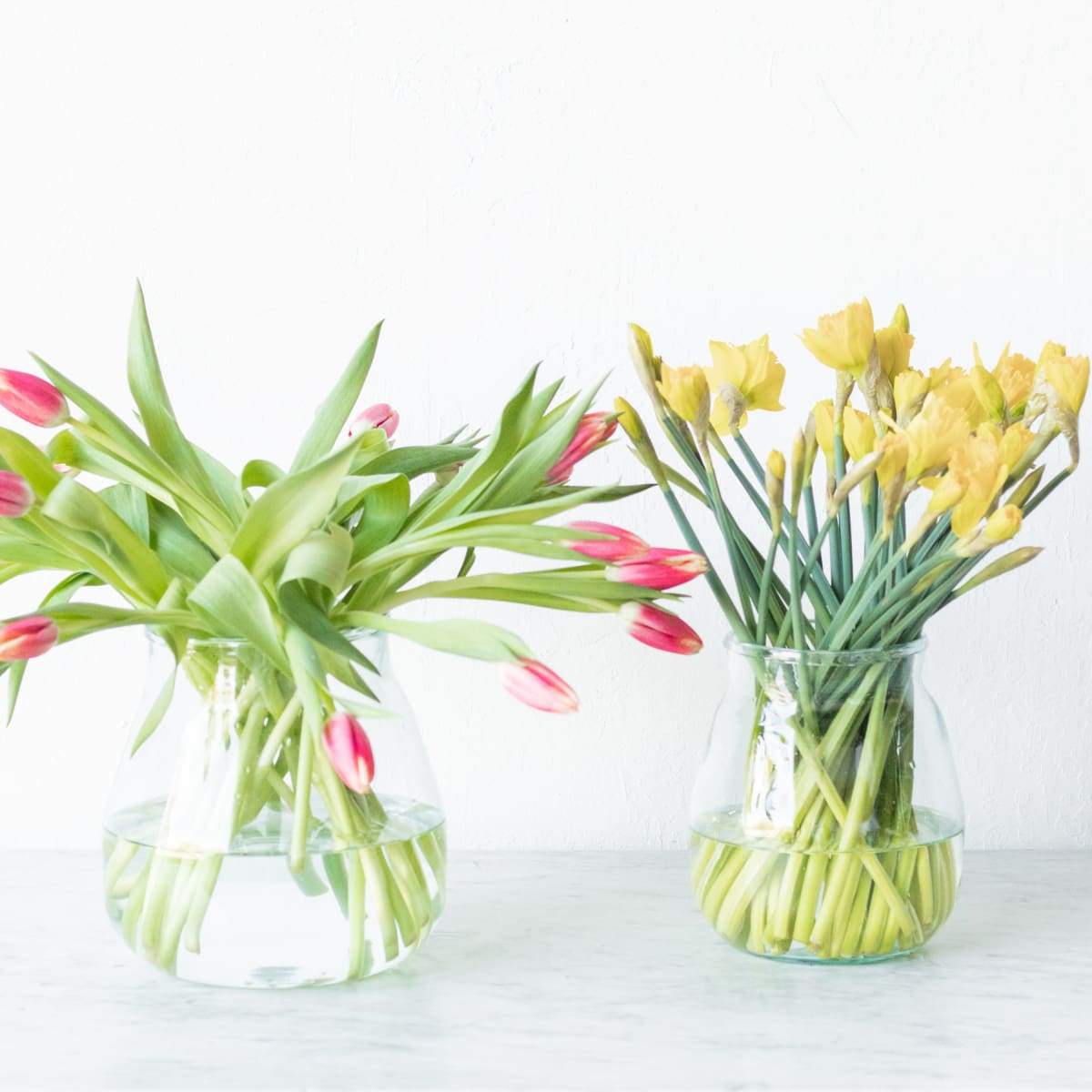Baby Bulb Pickling Jar - elsie green - Decor