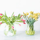 Baby Bulb Pickling Jar - elsie green - Decor