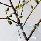 Blown Glass Pickling Jar - elsie green - Decor