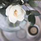 Bulb Pickling Jar - elsie green - Decor