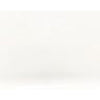 Classic Dinnerware - WHITE / DINNER PLATE - the french kitchen