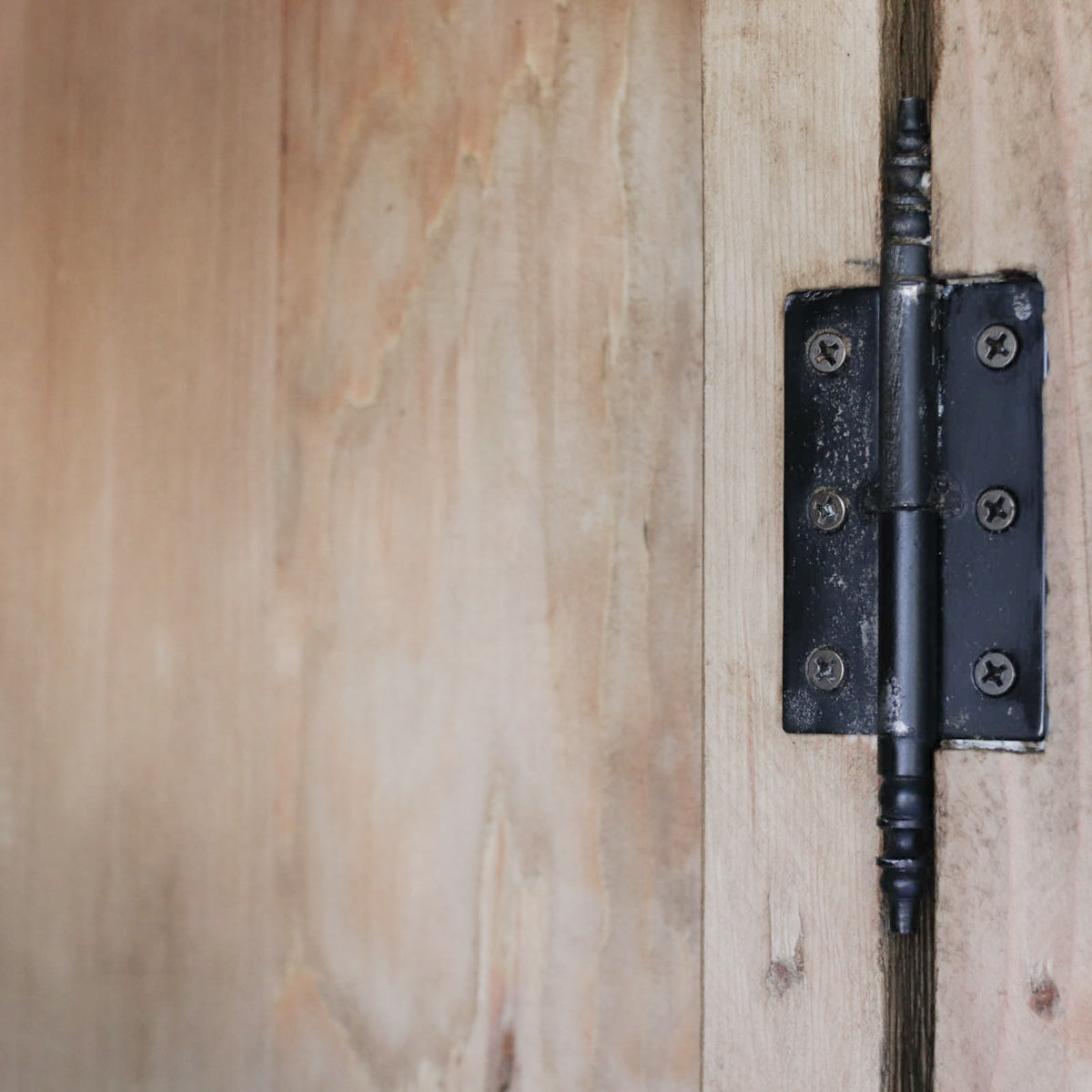 Reclaimed Wood Armoire | Floor Sample - elsie green