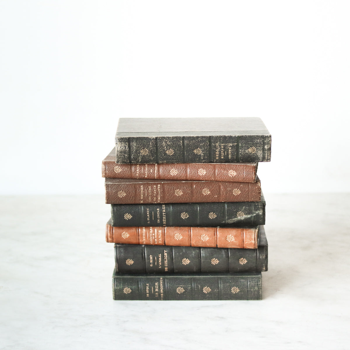 Leather Library Book - elsie green
