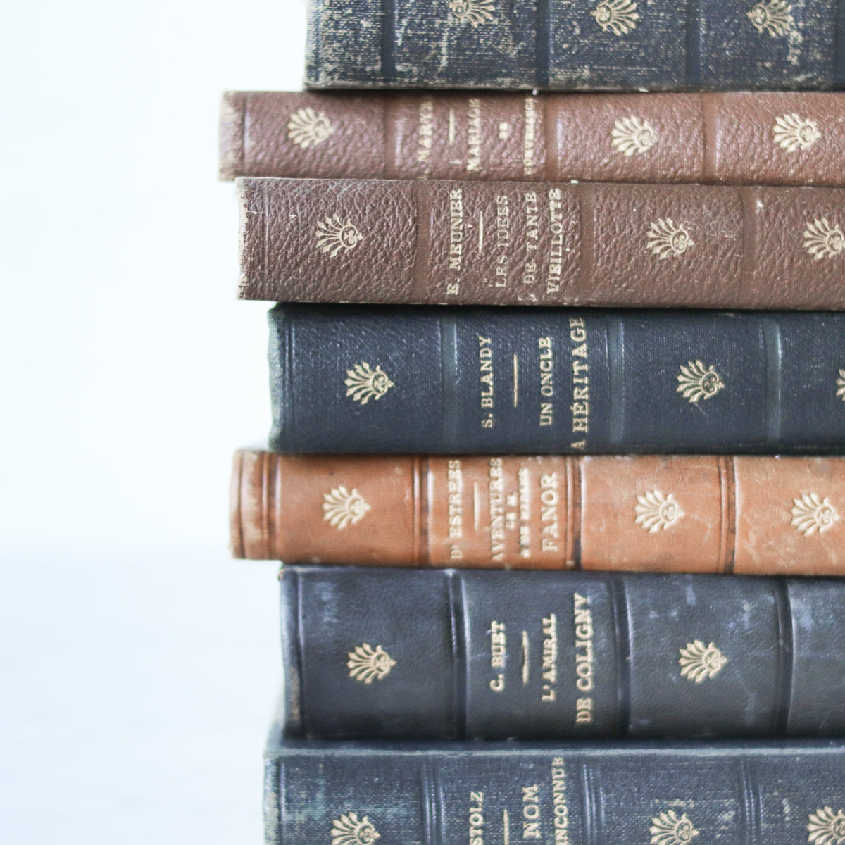 Leather Library Book - elsie green