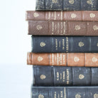 Leather Library Book - elsie green