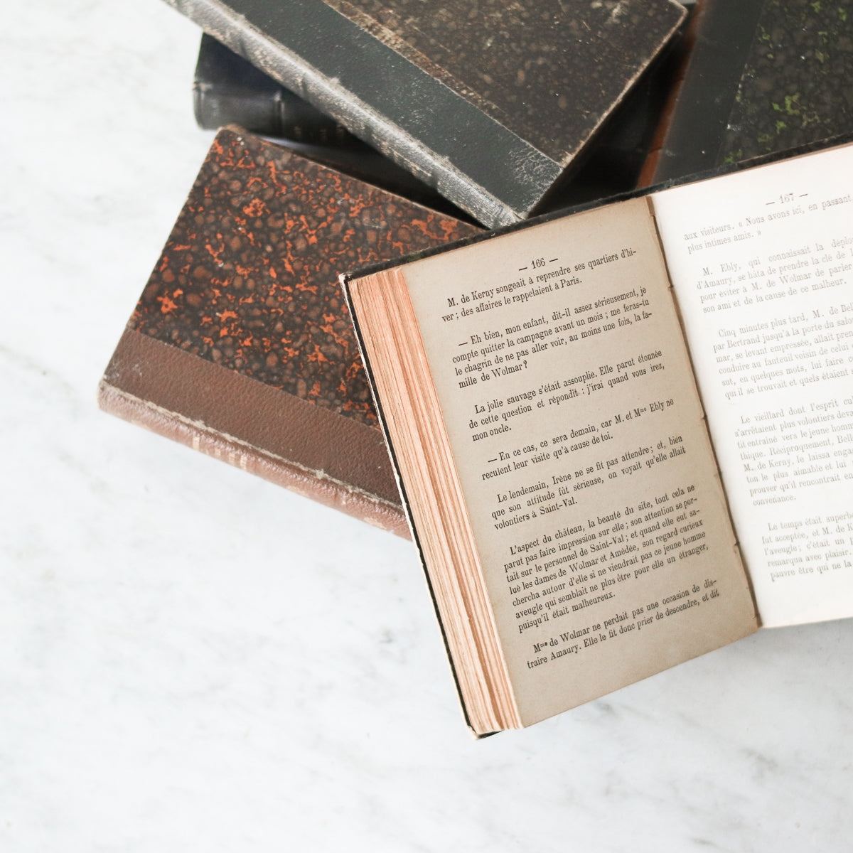 Leather Library Book - elsie green