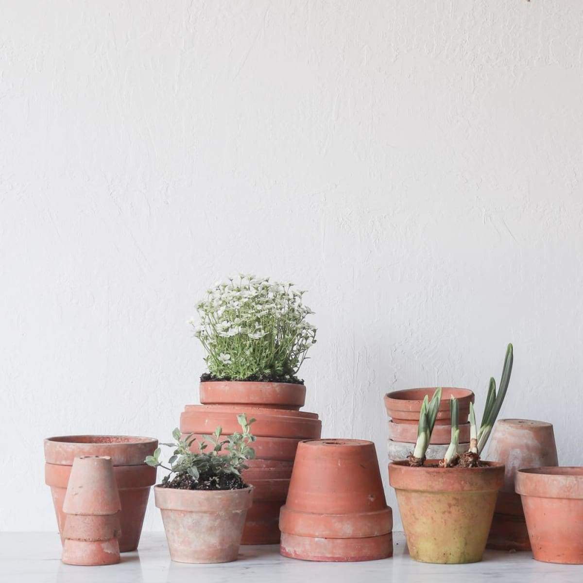 Vintage Garden Pot Set of 4 - elsie green