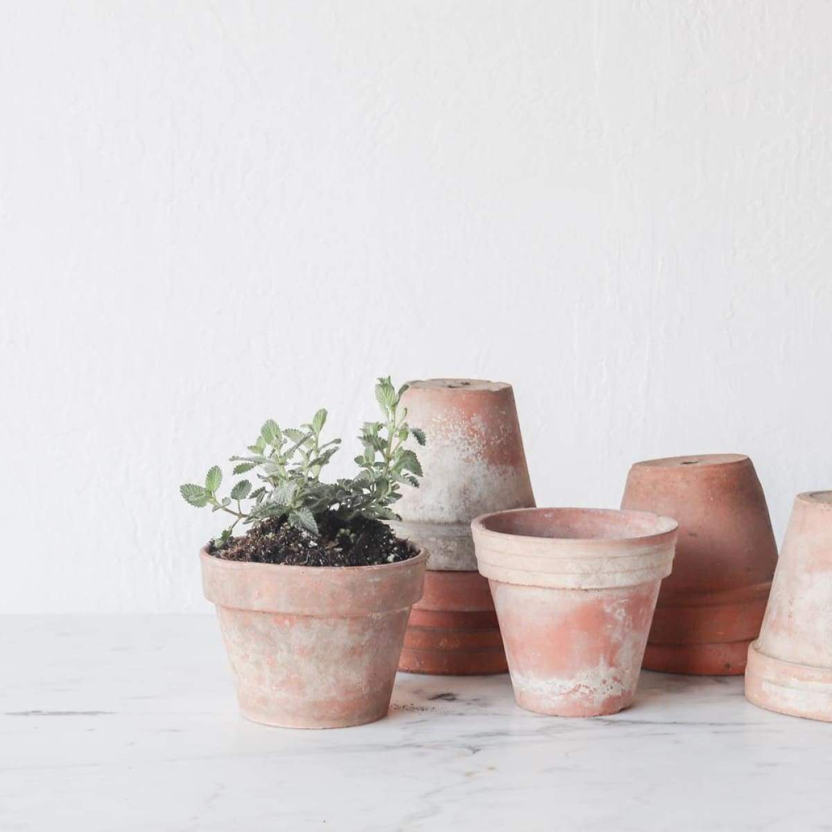 Vintage Garden Pot Set of 4 - elsie green