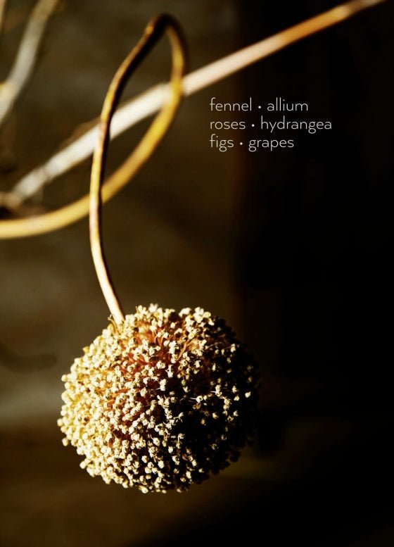 Foraged Flora - elsie green - Decor