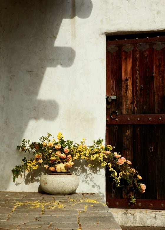 Foraged Flora - elsie green - Decor