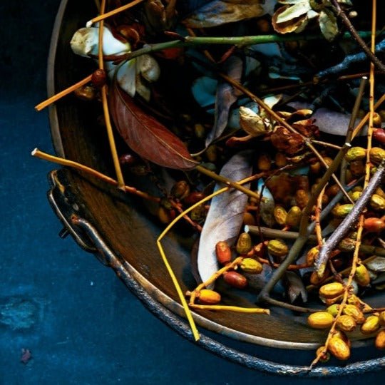Foraged Flora - elsie green - Decor