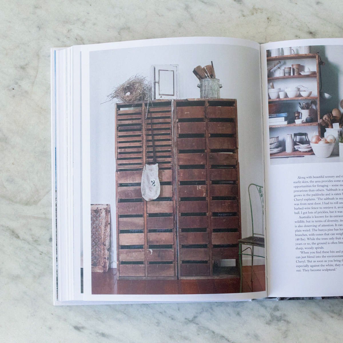 Foraged Home - elsie green - Decor