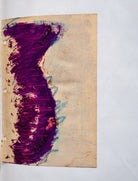 Francois Halard | A Visual Diary - elsie green - Decor