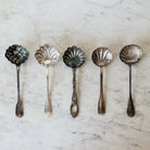 French Shell Sugar Spoon - elsie green - The French Kitchen