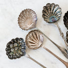 French Shell Sugar Spoon - elsie green - The French Kitchen