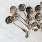French Shell Sugar Spoon - elsie green - The French Kitchen