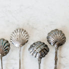 French Shell Sugar Spoon - elsie green - The French Kitchen