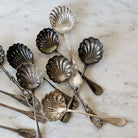 French Shell Sugar Spoon - elsie green - The French Kitchen