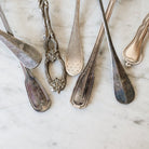 French Shell Sugar Spoon - elsie green - The French Kitchen