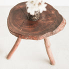 Rustic Bois Stool - elsie green