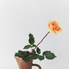 Stoneware Pitcher No. 306 - elsie green - The French Kitchen