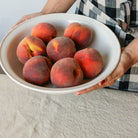 Beautiful Basic Vintage Serveware | Serving Bowl - elsie green