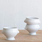 Pair Of Vintage Lion Bowls - elsie green