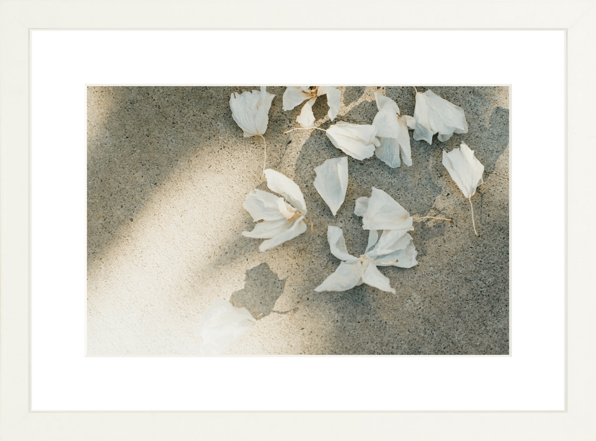 Trail Offerings Printed Photograph - elsie green - Art