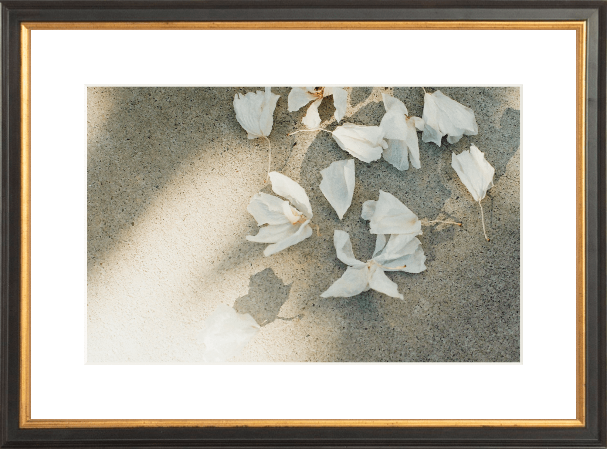 Trail Offerings Printed Photograph - elsie green - Art