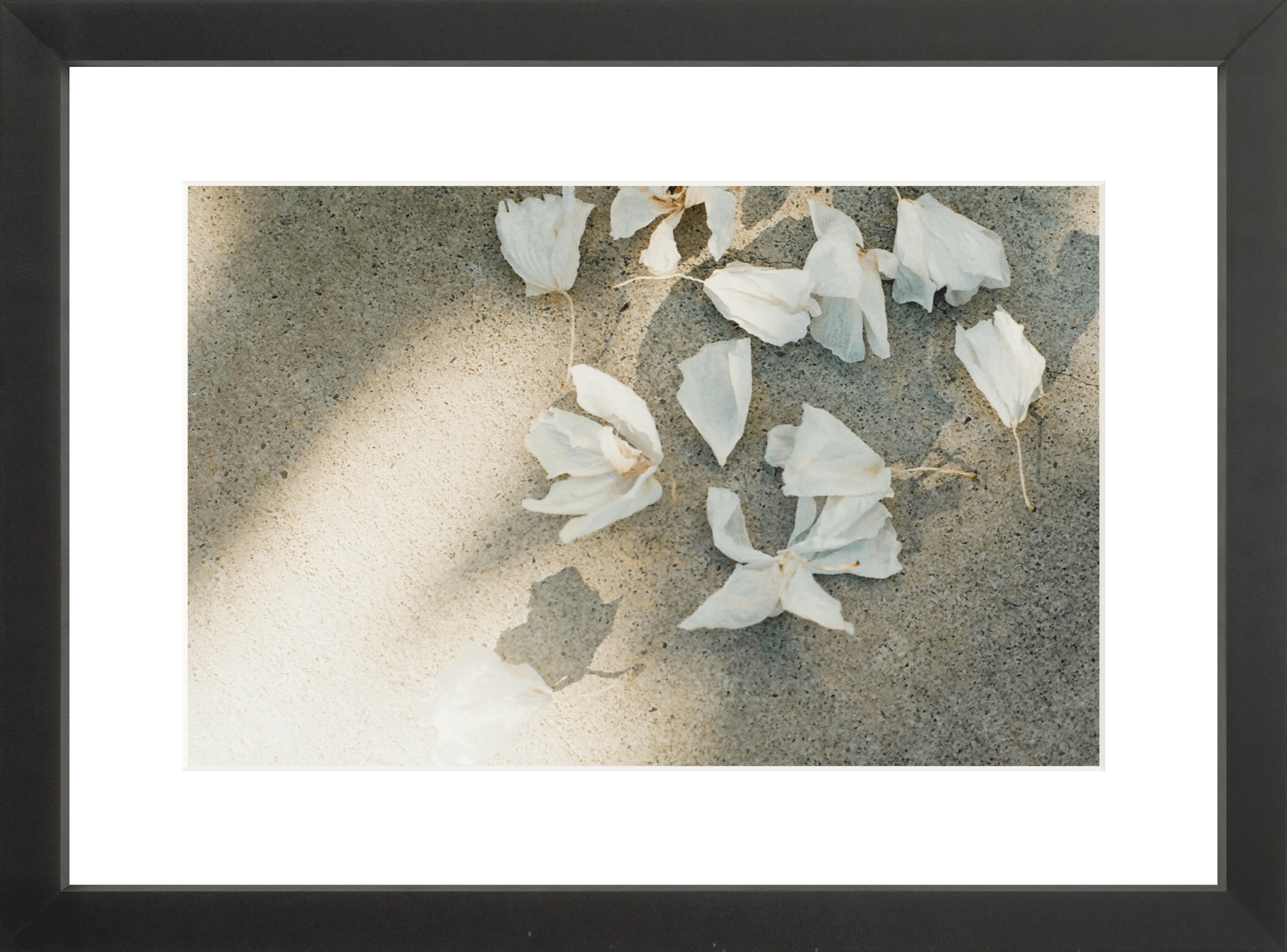Trail Offerings Printed Photograph - elsie green - Art
