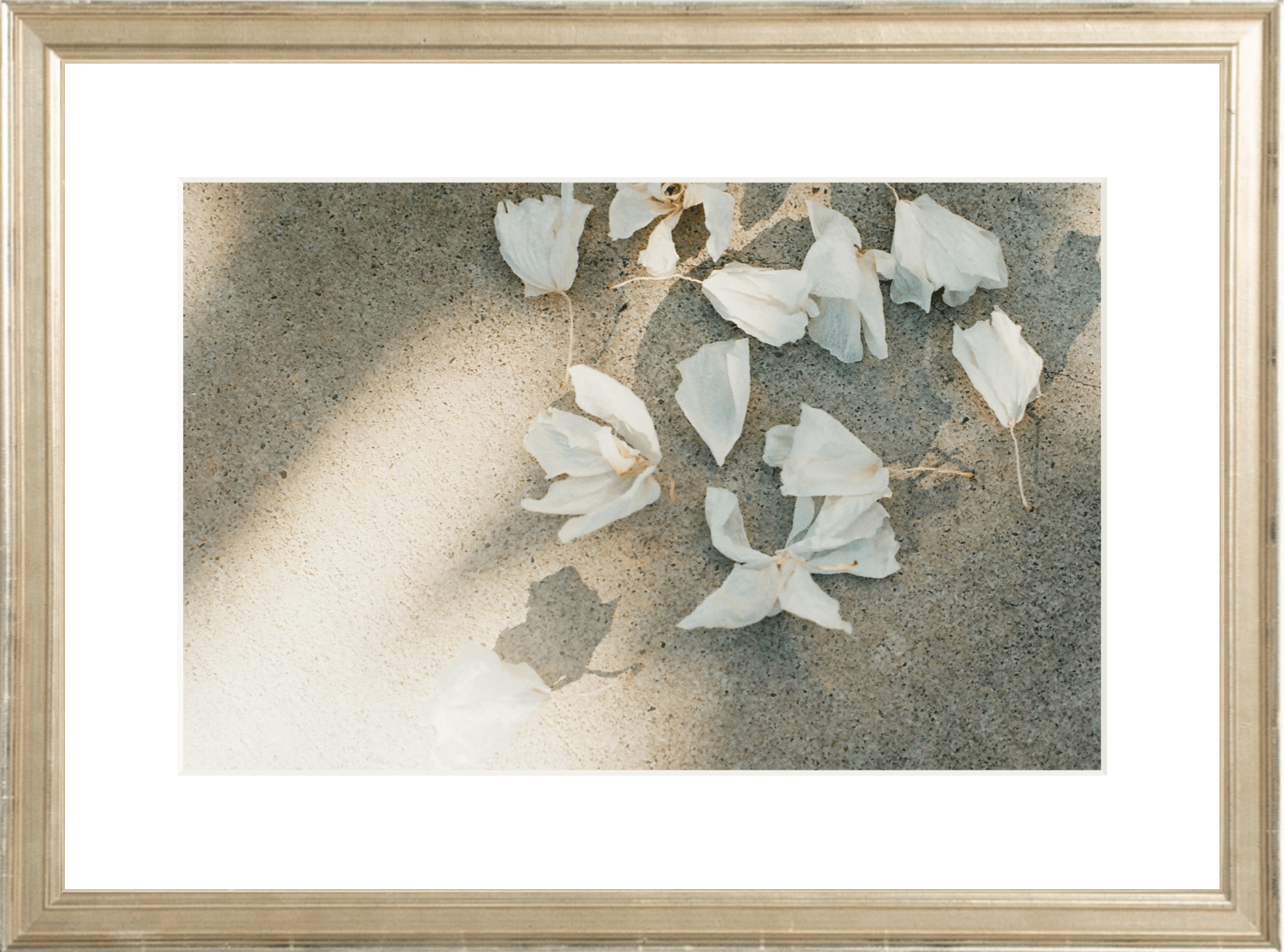Trail Offerings Printed Photograph - elsie green - Art