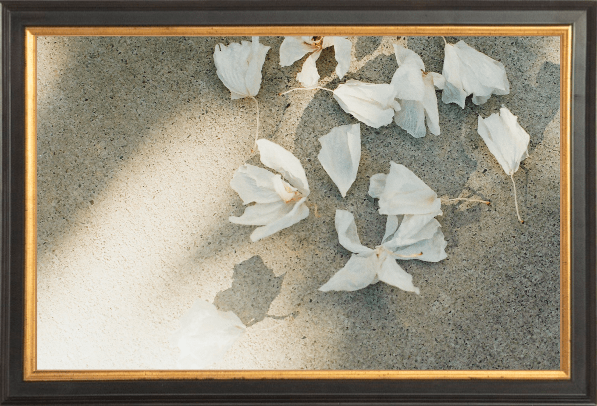 Trail Offerings Printed Photograph - elsie green - Art