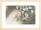 Trail Offerings Printed Photograph - elsie green - Art