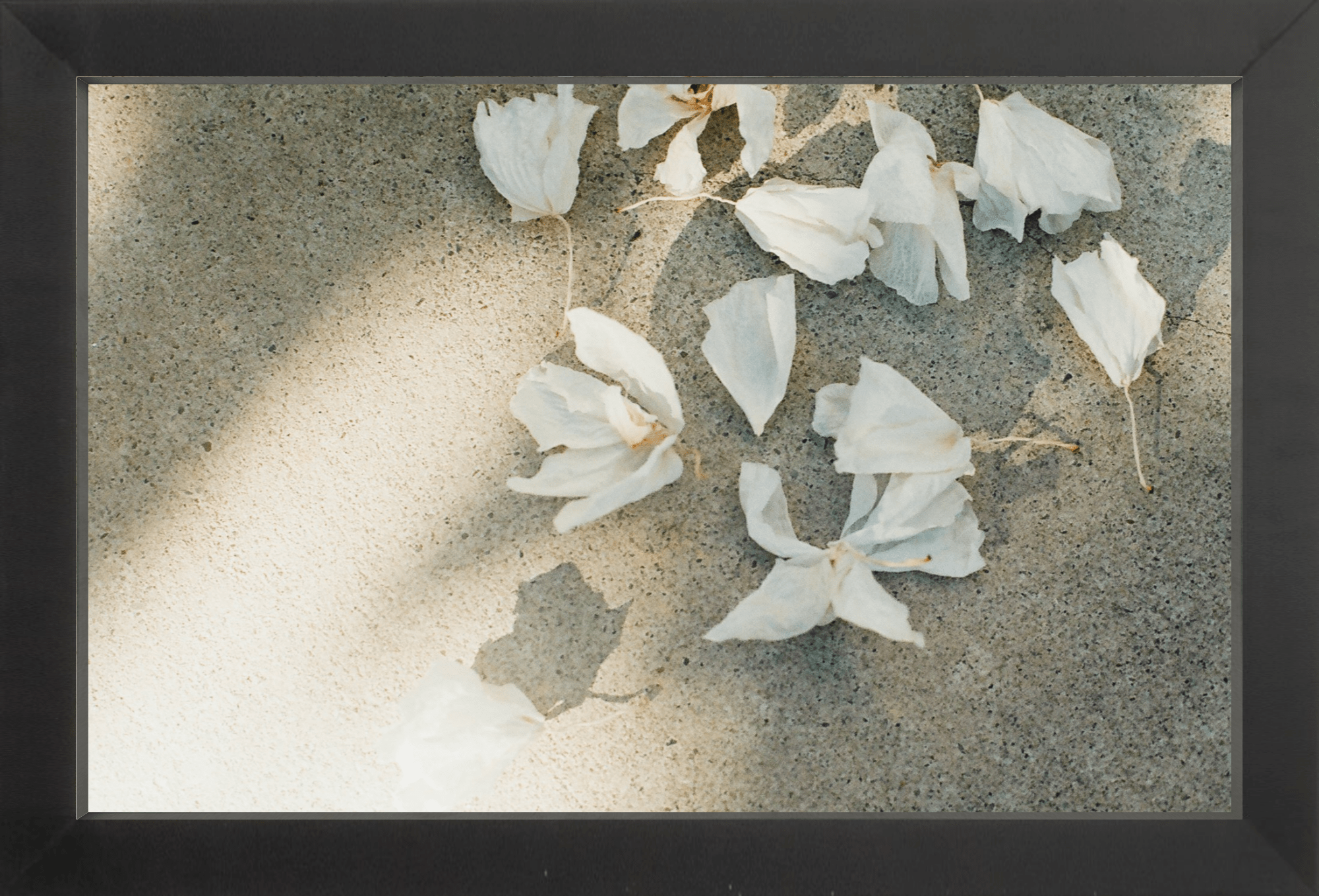 Trail Offerings Printed Photograph - elsie green - Art