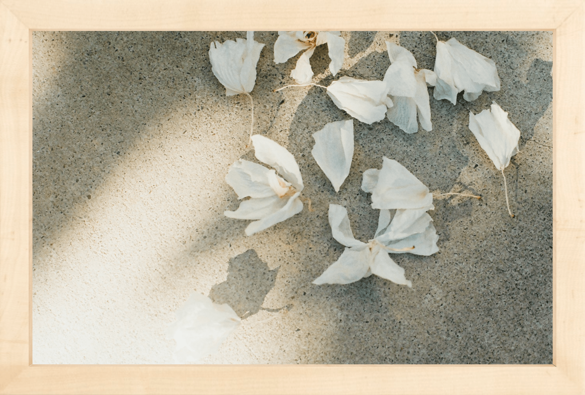 Trail Offerings Printed Photograph - elsie green - Art