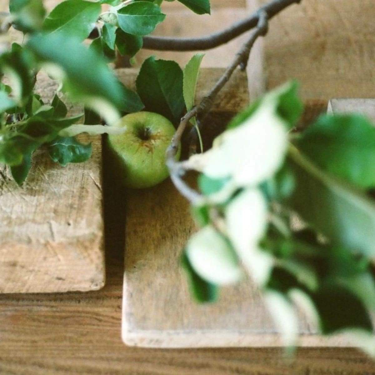 Vintage French Bread Board - elsie green - The French Kitchen